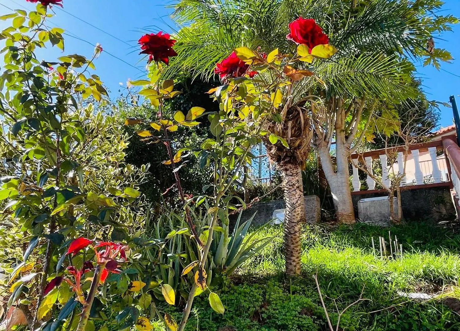 Πανσιόν Cozy House Ξενοδοχείο Φουνκάλ