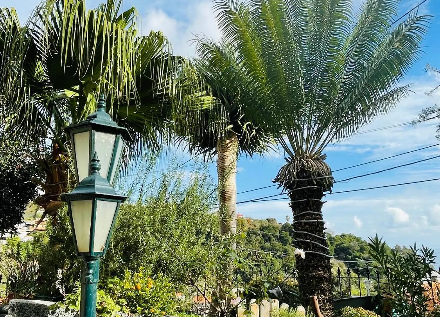 Cozy House Hotel Funchal  Funchal (Madeira)